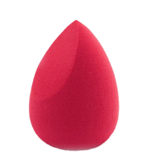 Makeup Sponge by Dealightful Finds