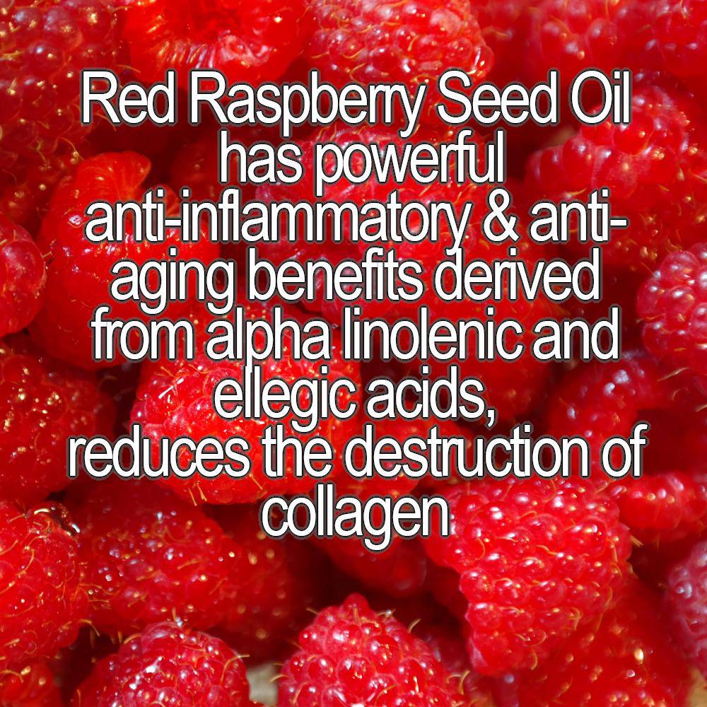 Organic DMAE + Alpha Lipoic Skin Firming Serum by Dealightful Finds